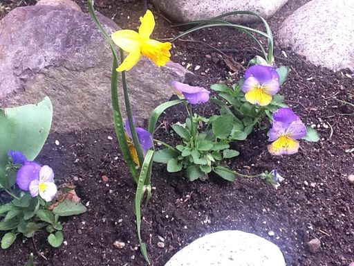 Sandra L. Stowers photo gallery thumbnail 28 of 100