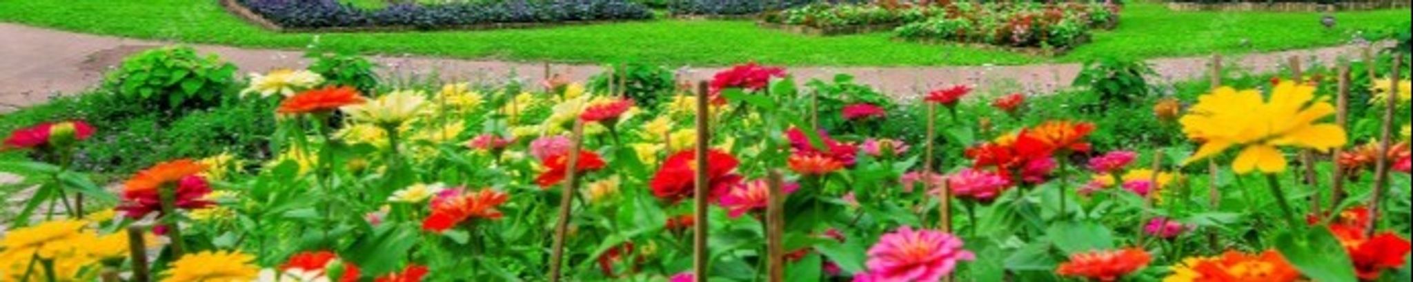 Cover photo for Gloria Jean Elkins's Obituary