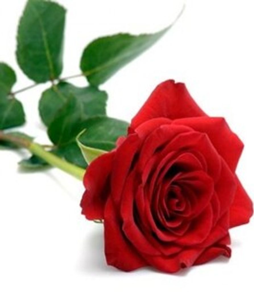 2020 Virtual Candle Lighting Remembrance