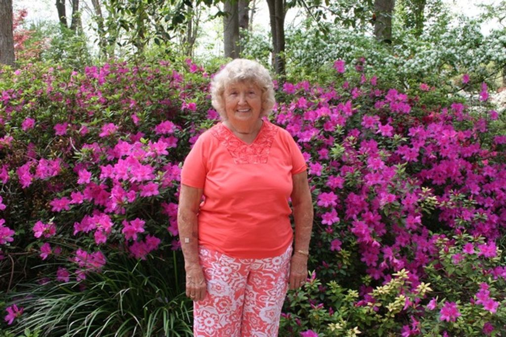 Dixie Morris Profile Photo