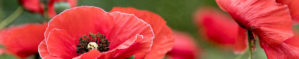 Cover photo for Gladys Thames's Obituary