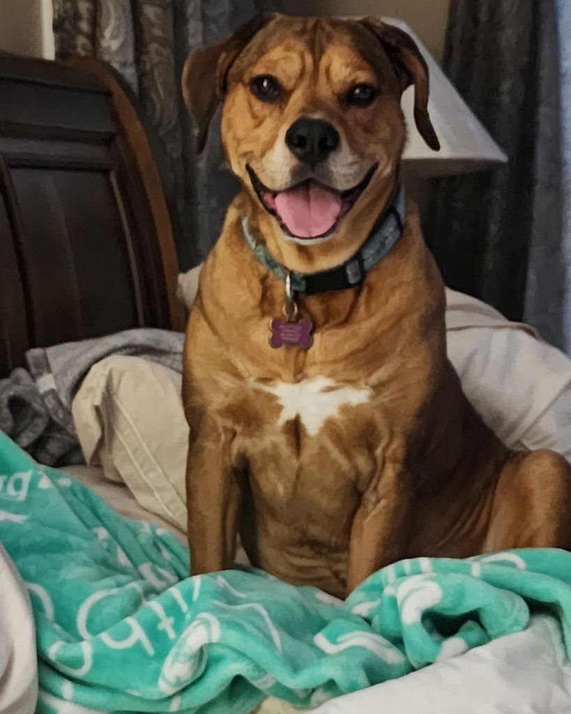 Layla Guy Profile Photo