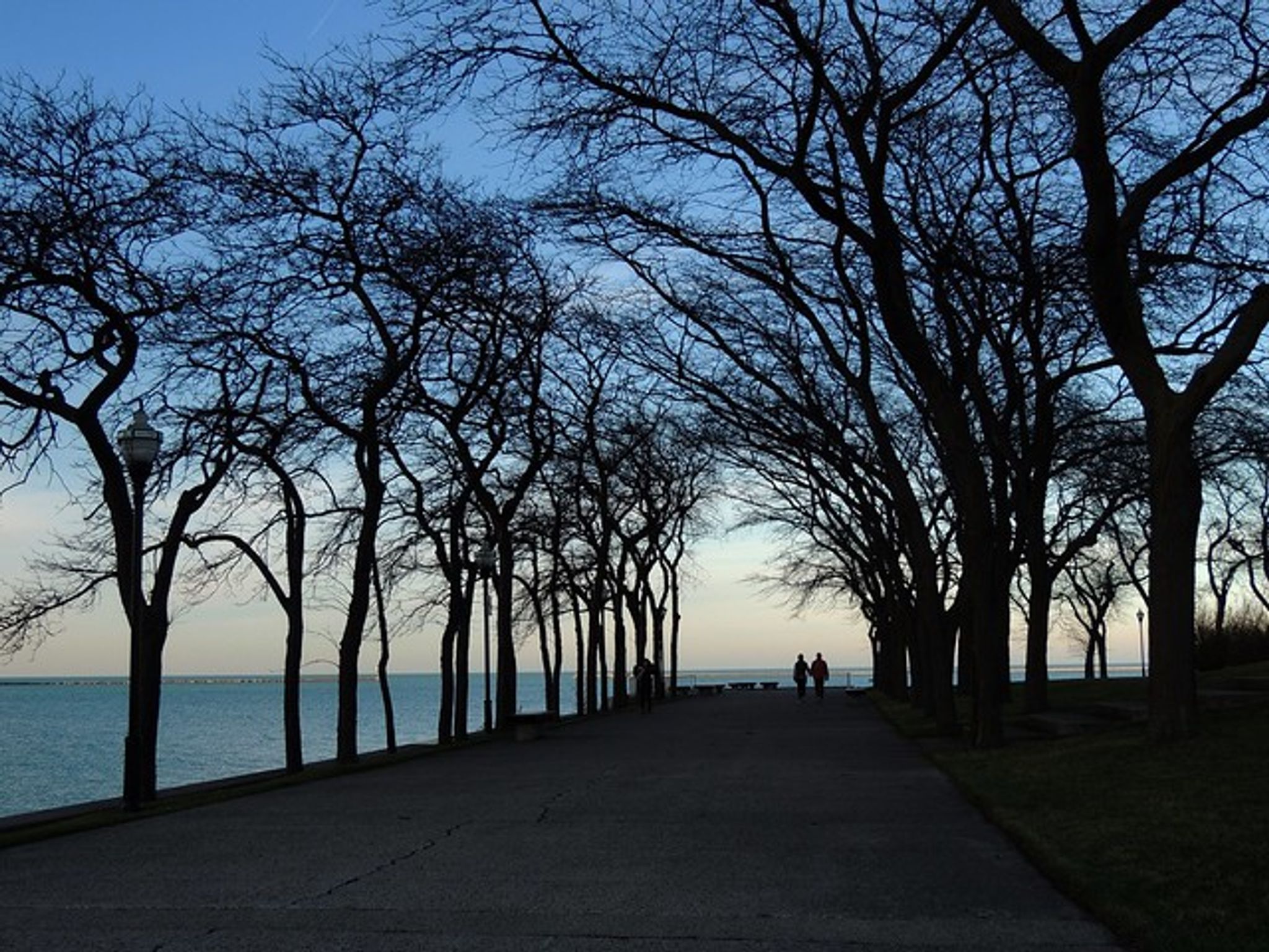 Cover for LINDA L. HALL's Obituary