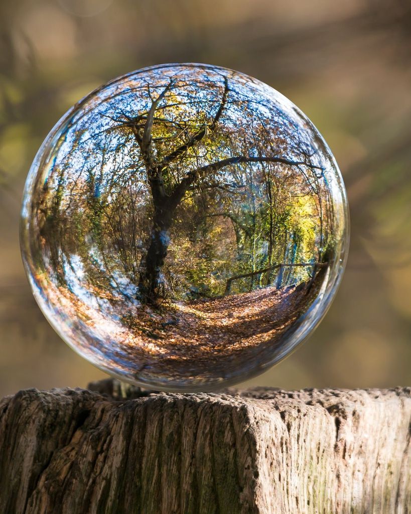 Jacob A. Moore Profile Photo