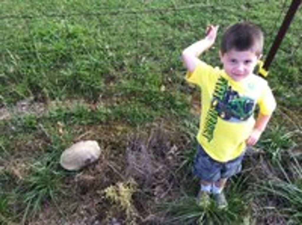 Carter Elias Nall Profile Photo