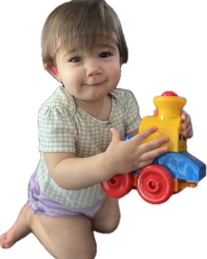Lana James Lowe's obituary image