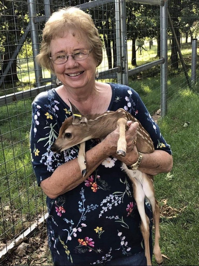 Jo Ann Parker Profile Photo