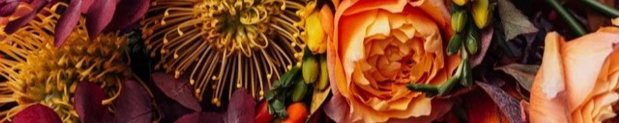 Cover photo for Seth John Fochs's Obituary