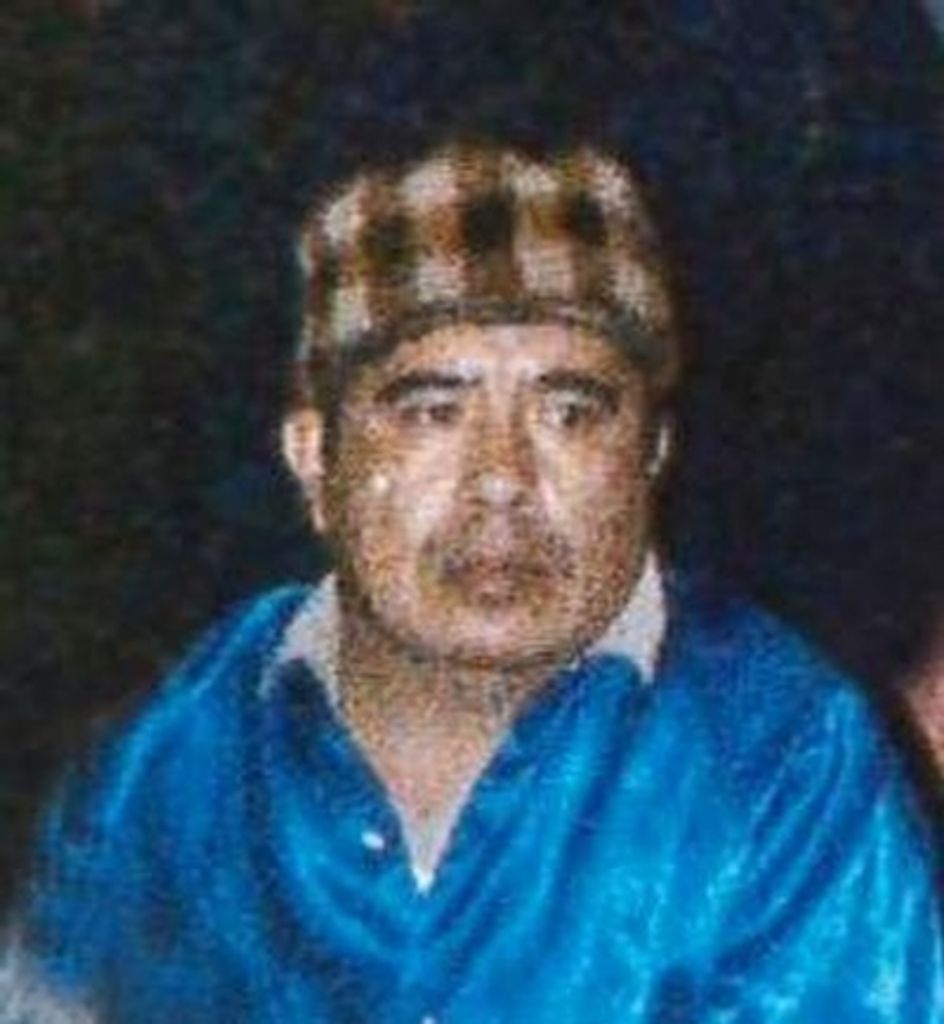 Jonas C Stranger Horse