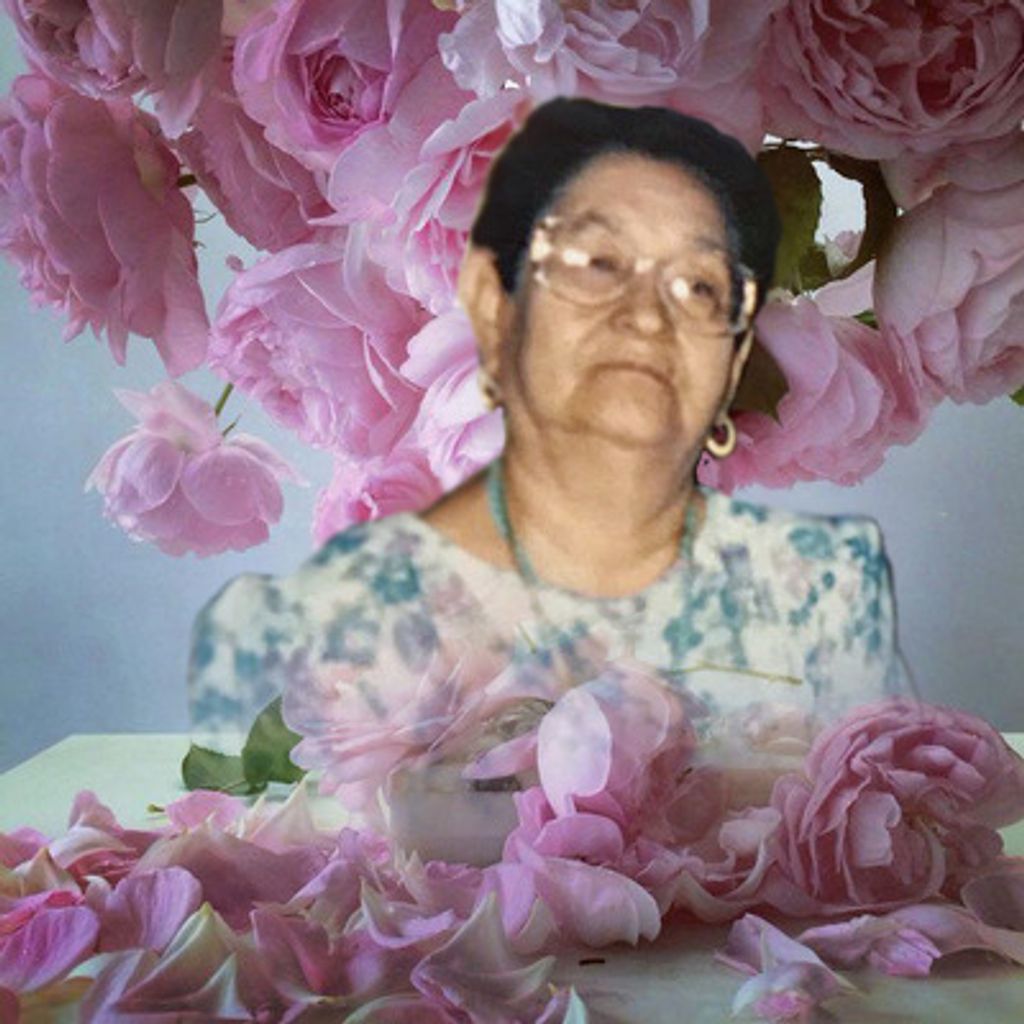 Paz R. Palomo