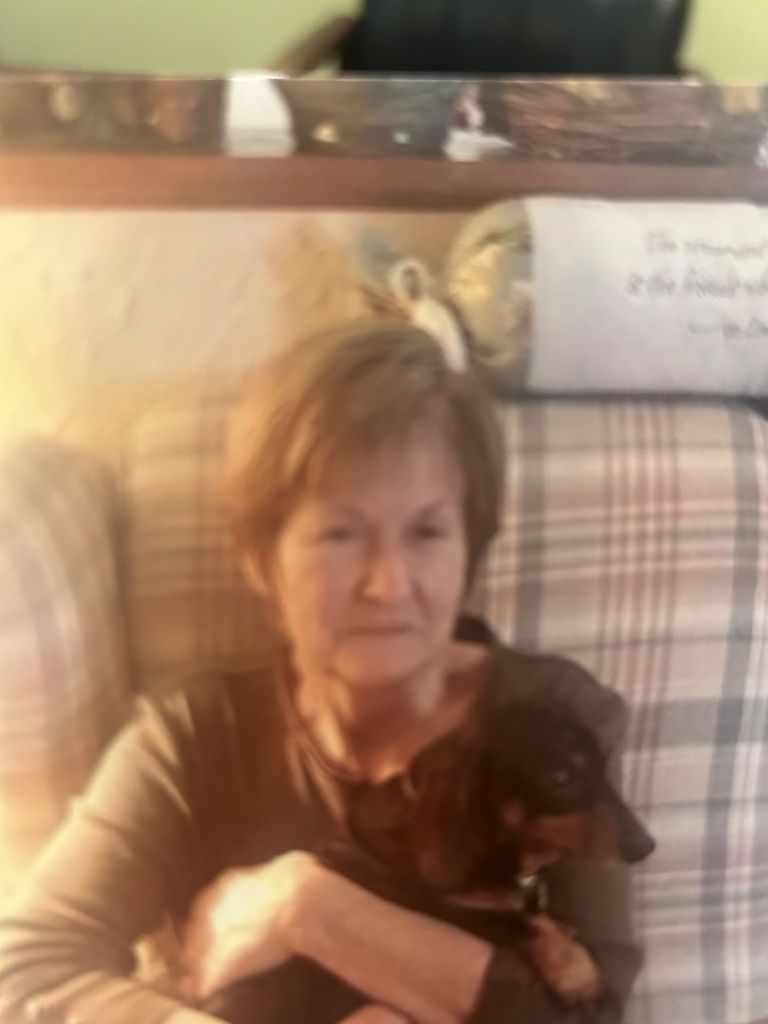 Donna E. Gogel Profile Photo