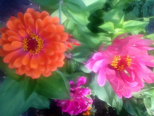 Sandra L. Stowers photo gallery thumbnail 25 of 100