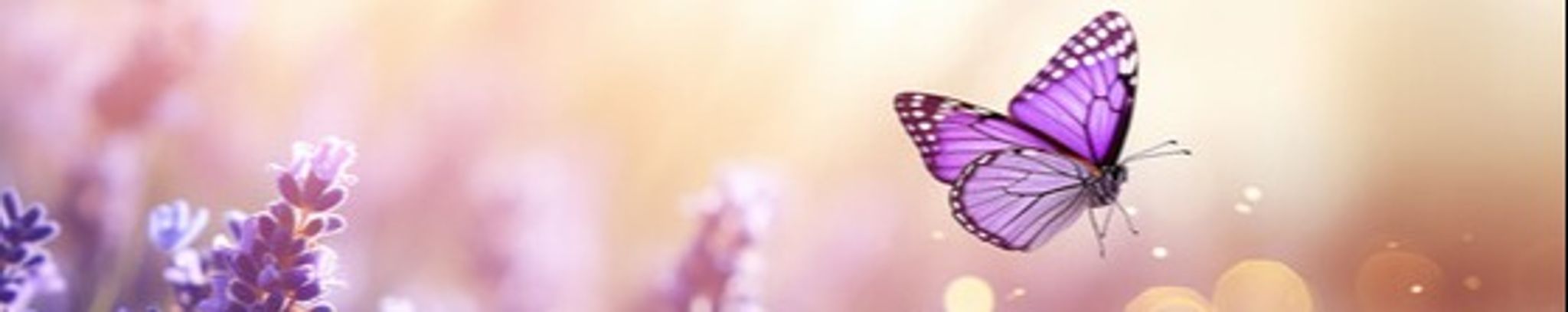 Cover photo for Cynthia "Cindy" Louise Manroe Hall's Obituary