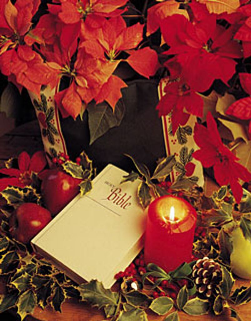 August Wayne Nelson Profile Photo