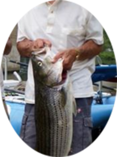 Robert 'Shorty' White Profile Photo