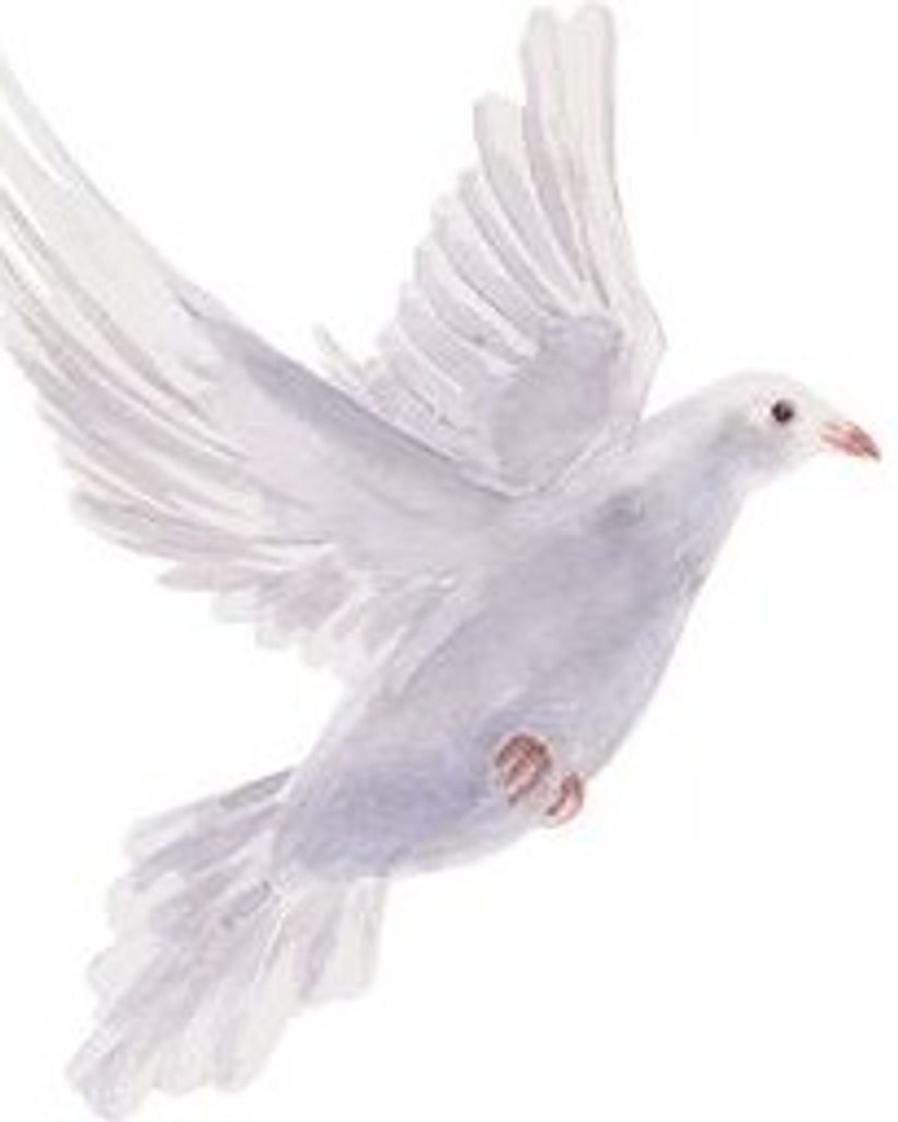 Barbara Mueller Profile Photo