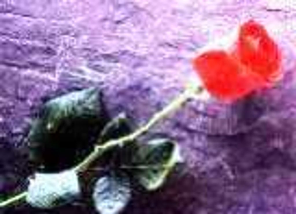 Louise C. (Hoffman)  Reinhart