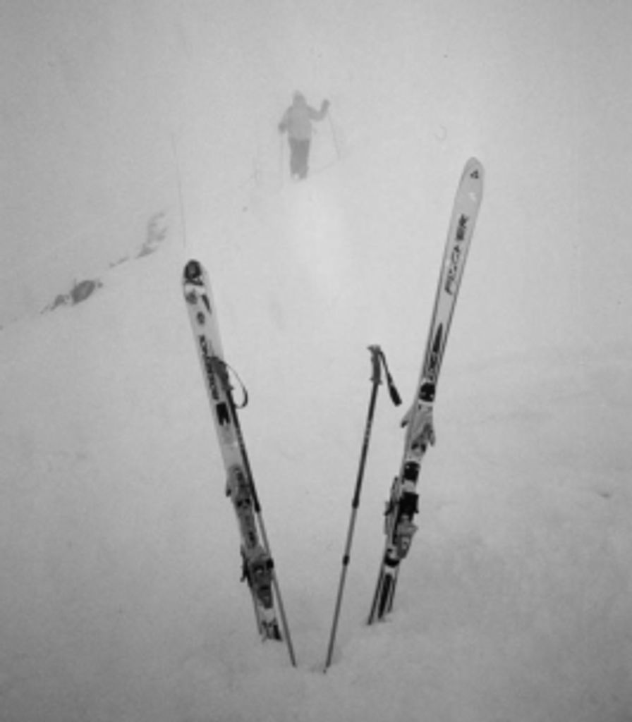 Mel Mickey Profile Photo