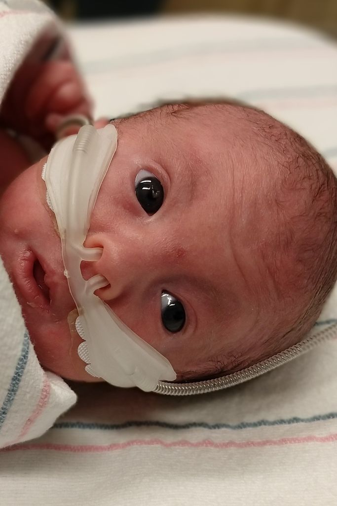 Vida Pearl Carpenter-Morelli Profile Photo