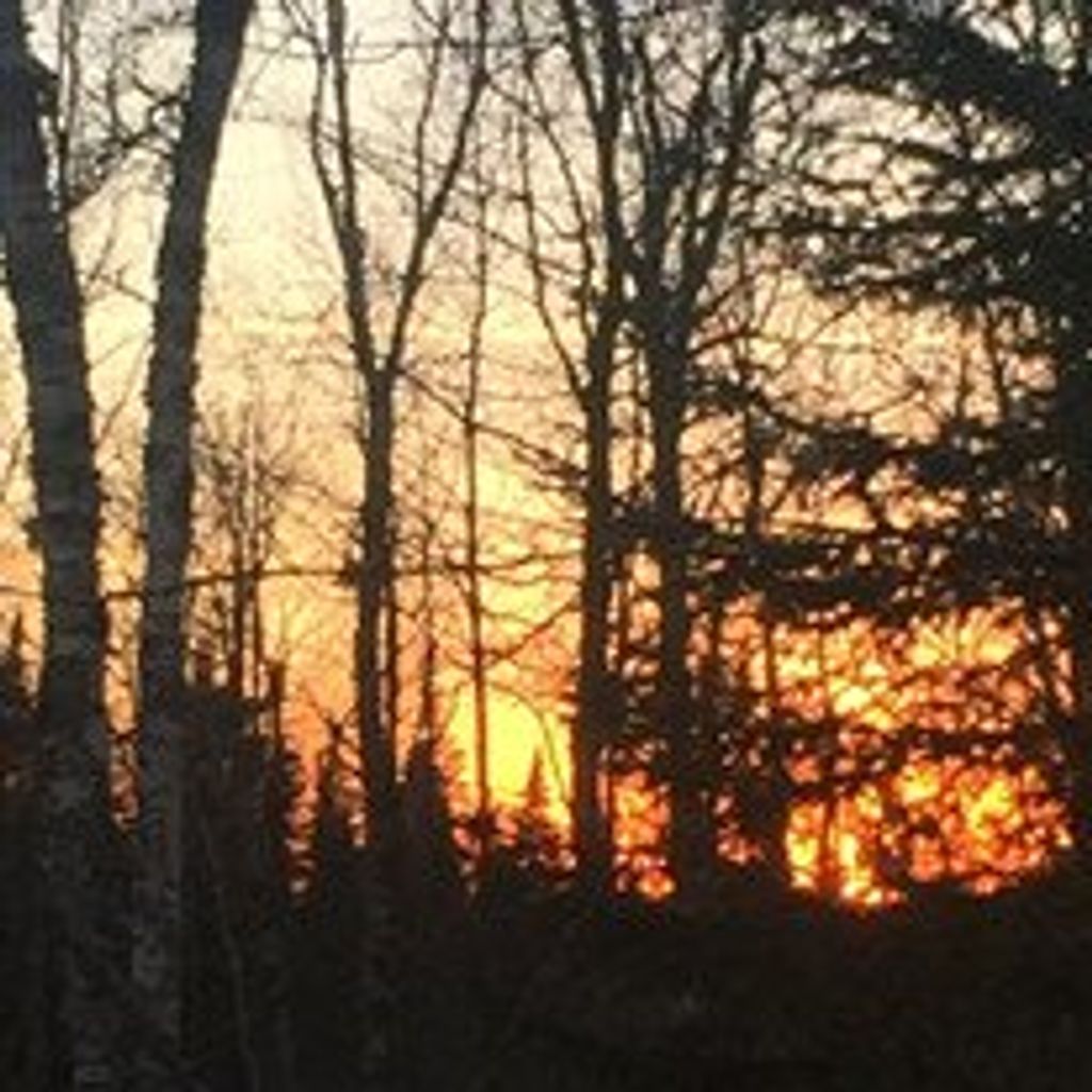 Shelly  Ann Anderson