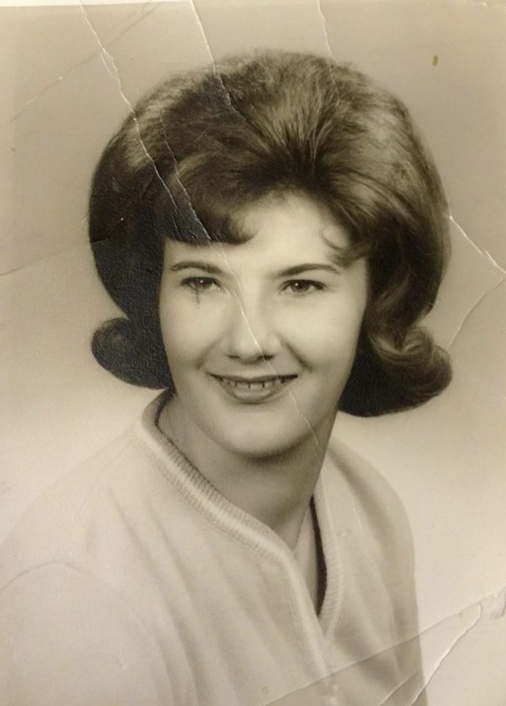 Patricia Lou 'Pat' (Norris)  Groves Profile Photo