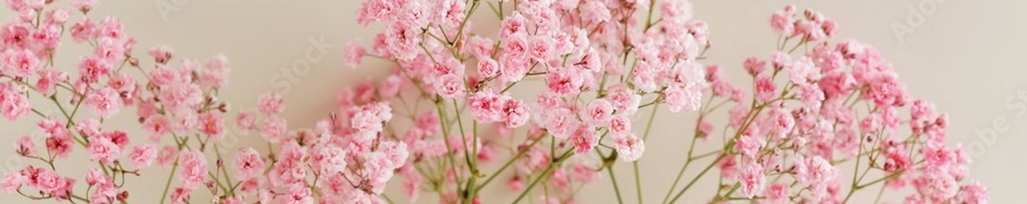 Cover for Betty Joe Story Harrell's Obituary