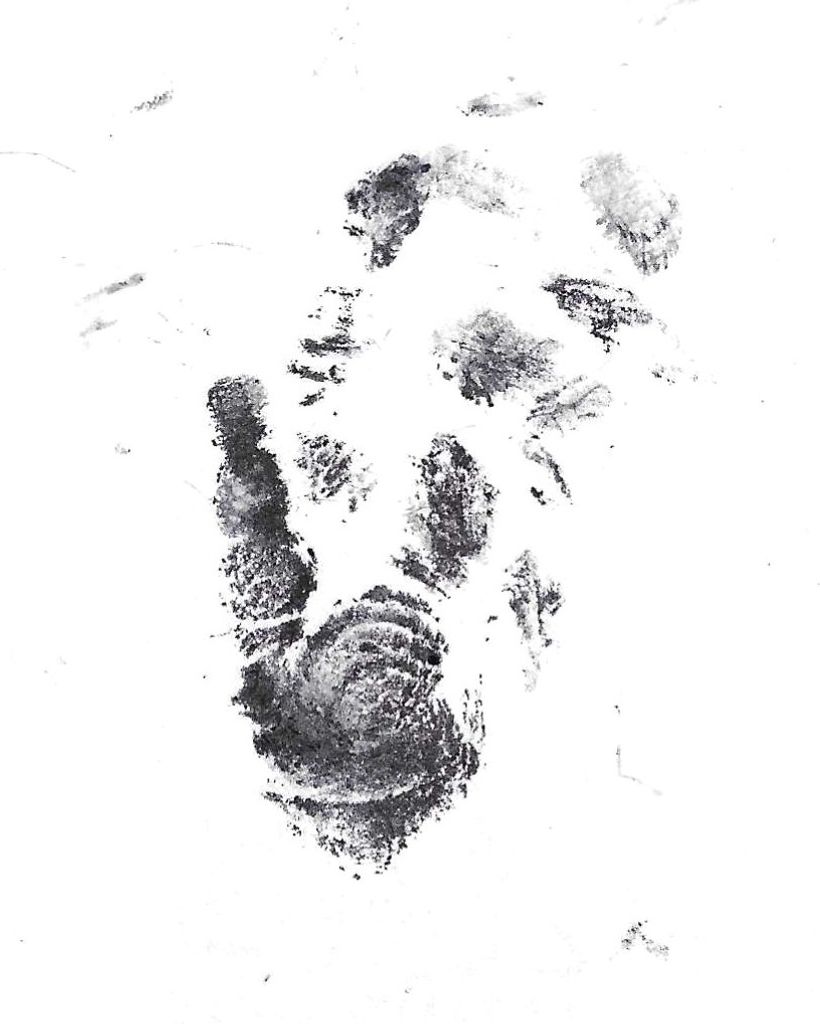 Dasher Mitts Profile Photo