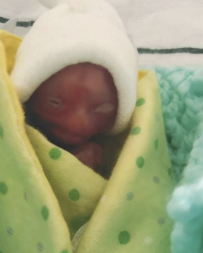 Adam James Guzicki Profile Photo