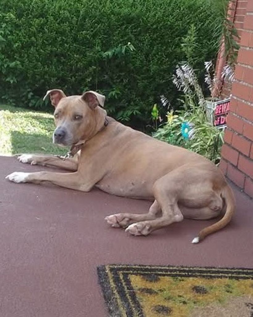 Queenie Profile Photo