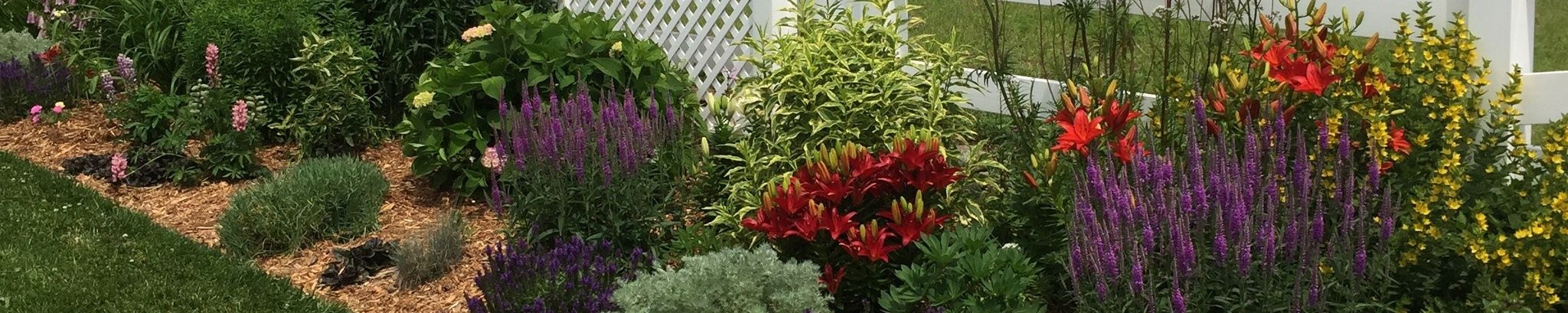 Cover photo for Mary Dux's Obituary