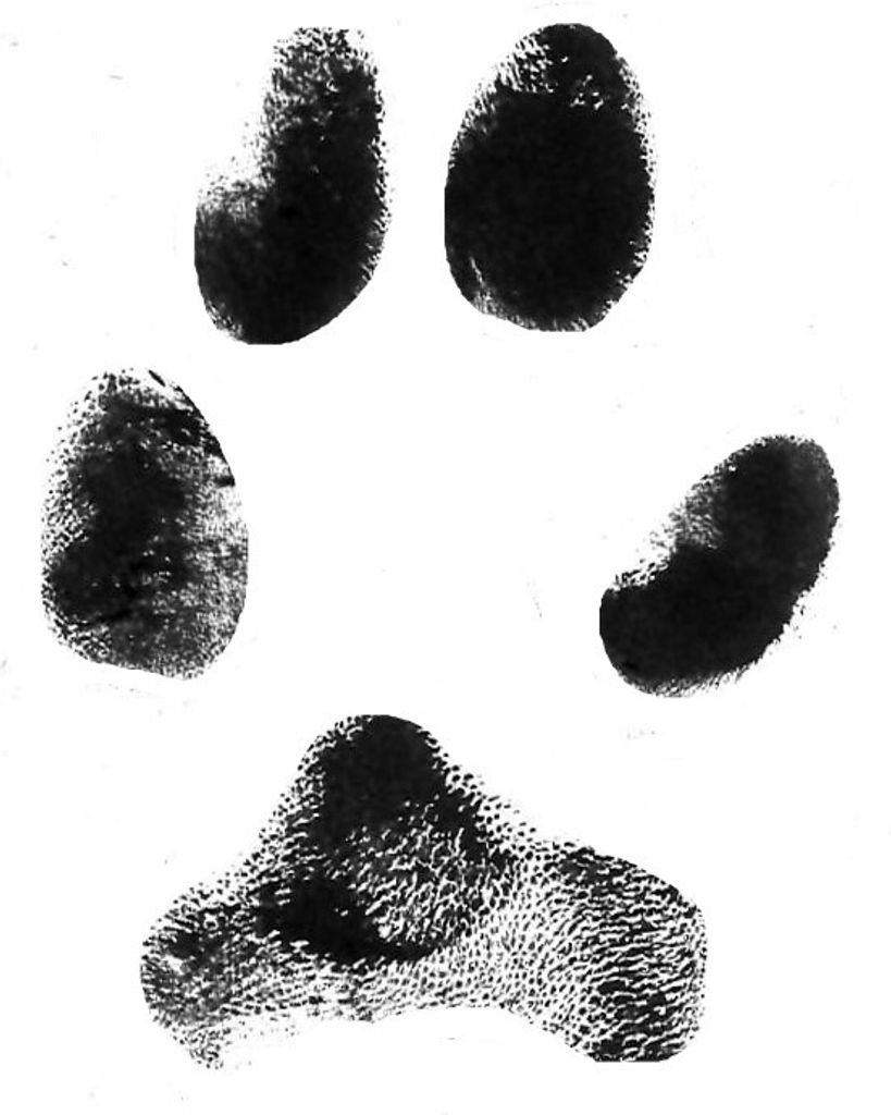 Darla Price Profile Photo