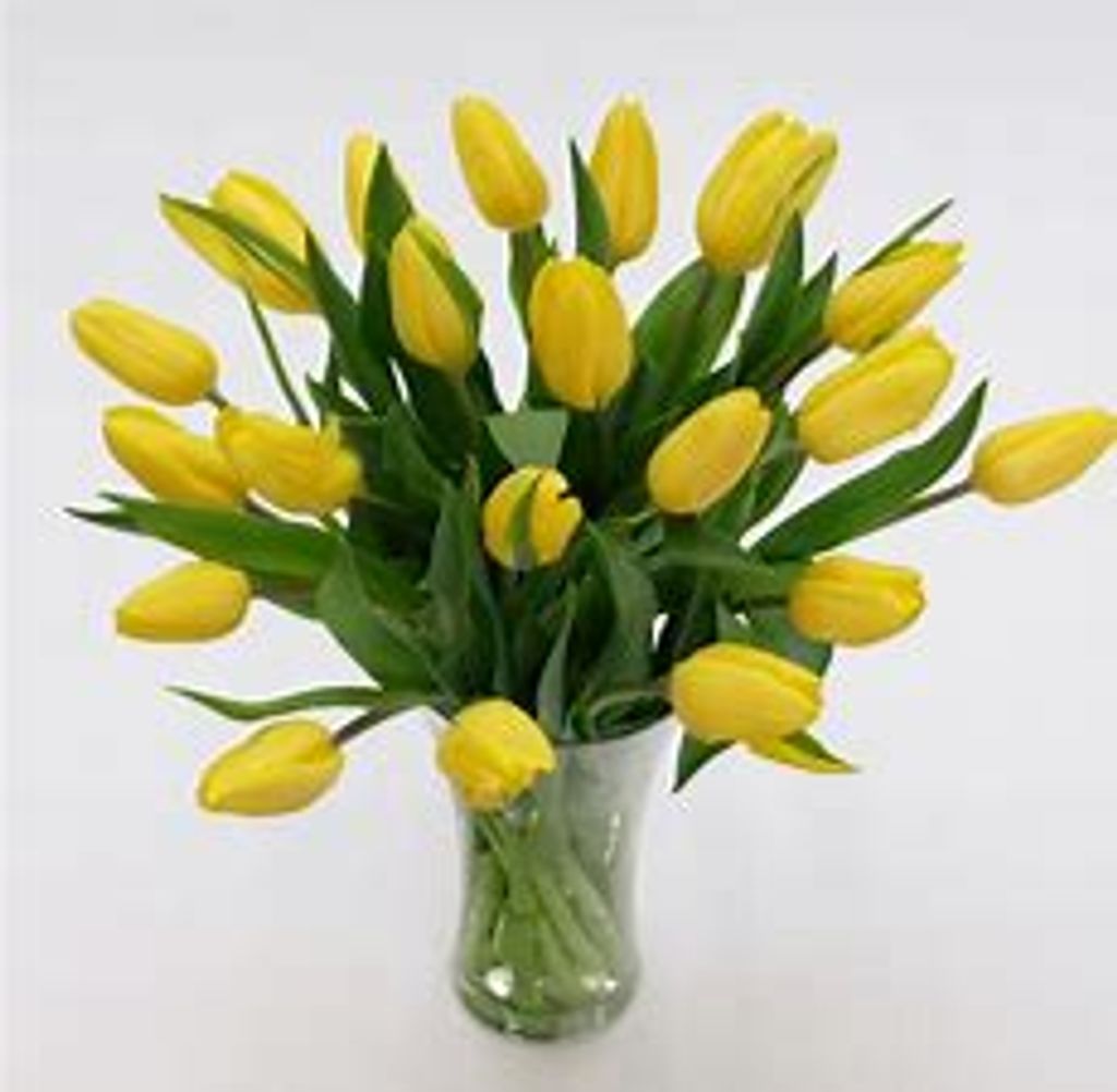 Ashlei Mone' Tookes Profile Photo