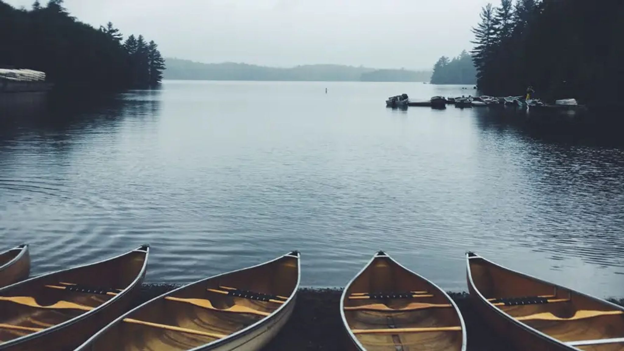Cover for Luke Alexey Welch's Obituary