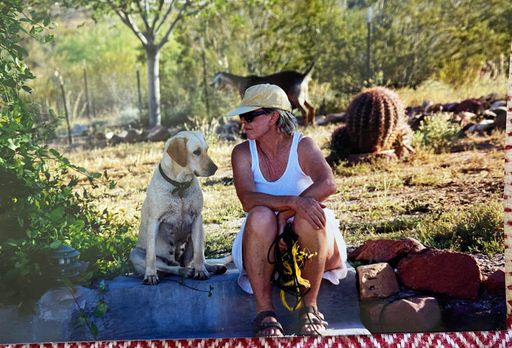 Carol Casey photo gallery thumbnail 16 of 56