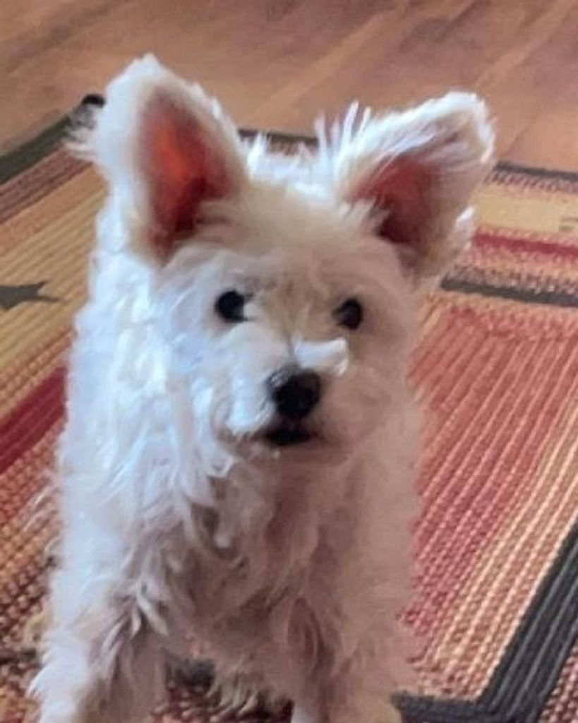 Nellie Profile Photo