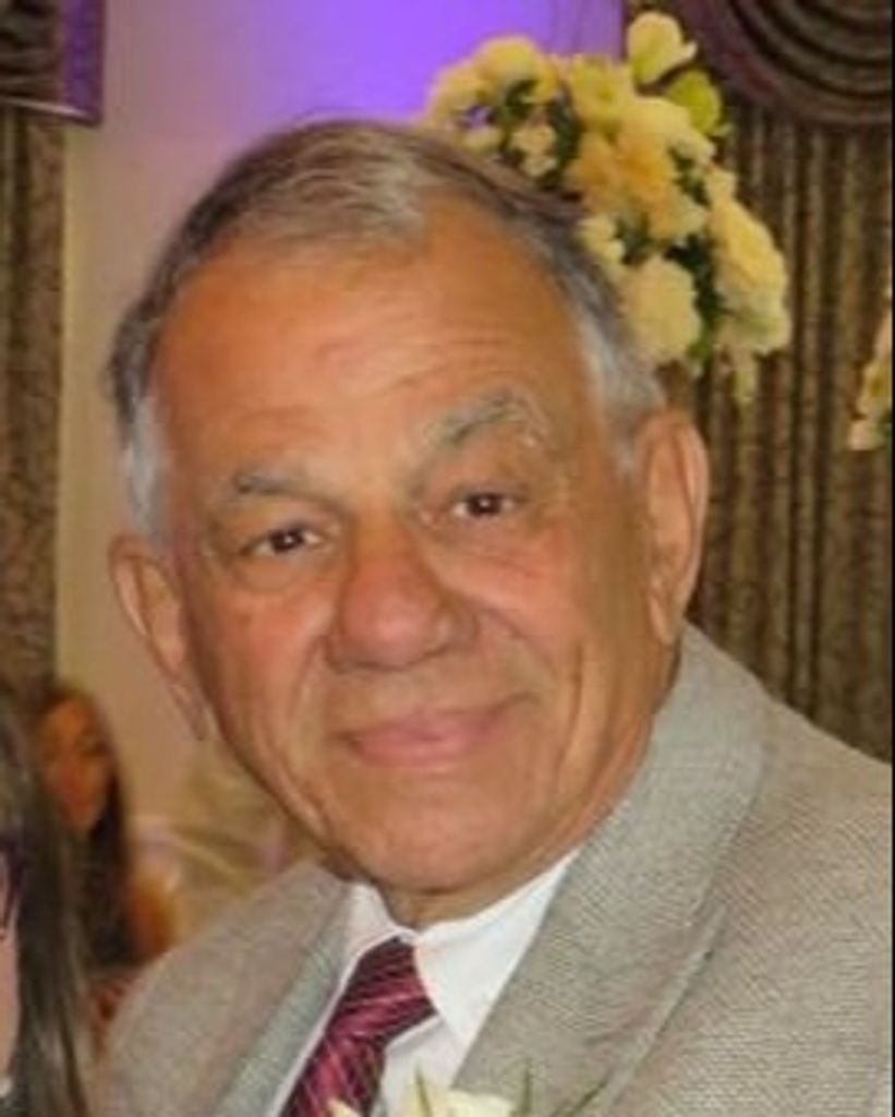Lewis R. DeMeo Profile Photo