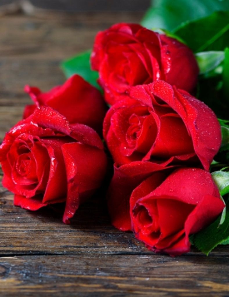 Janice Braun Profile Photo