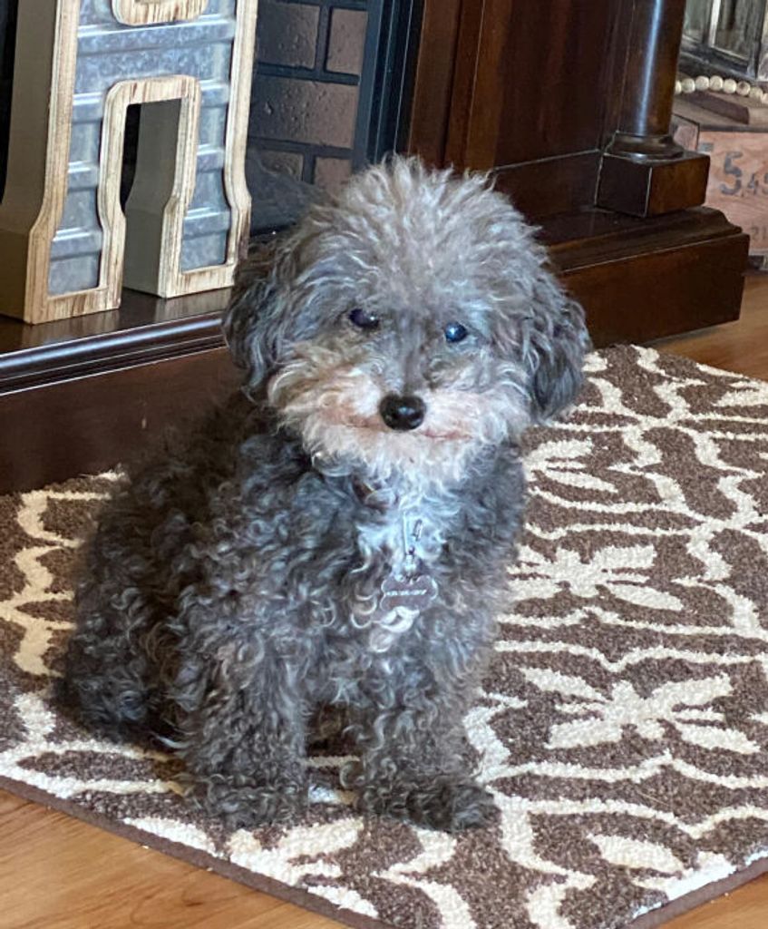 Aaron Haenel Profile Photo