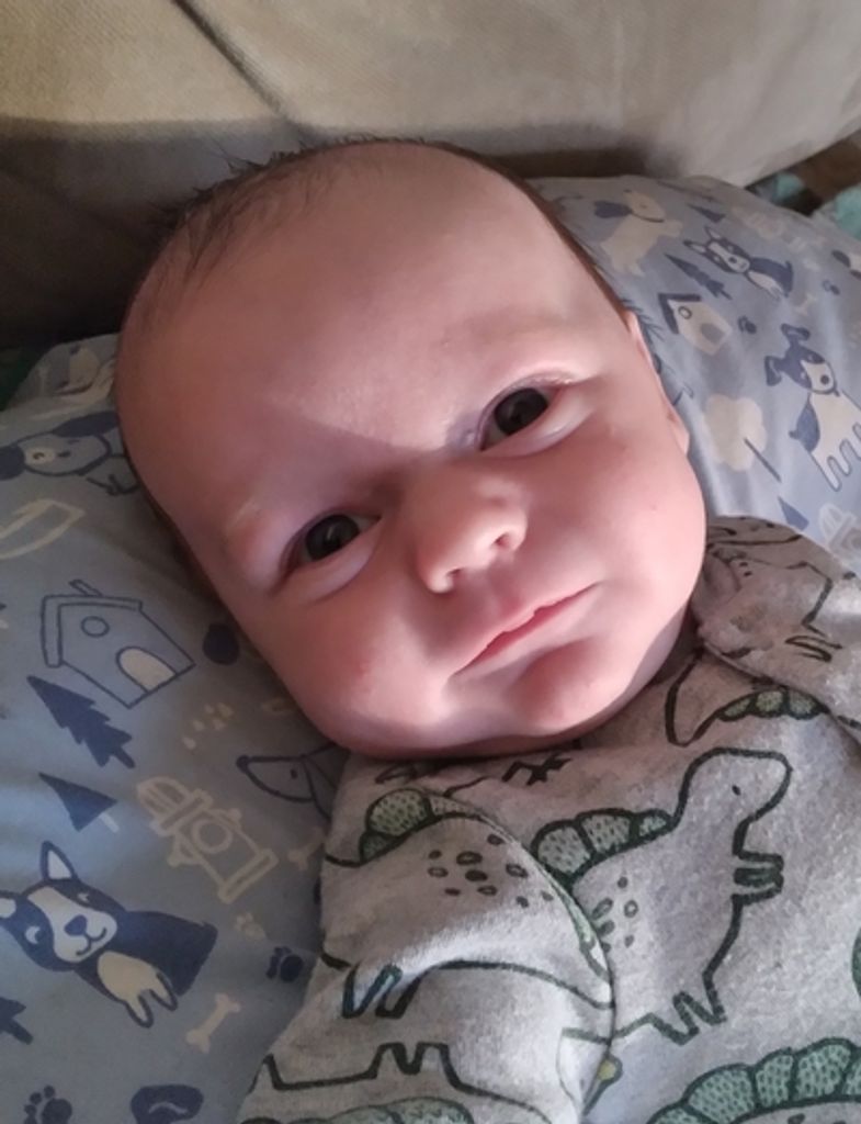 Colton Day Profile Photo