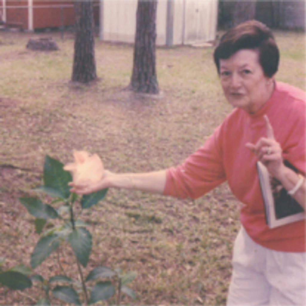 Joyce Lee Winstead