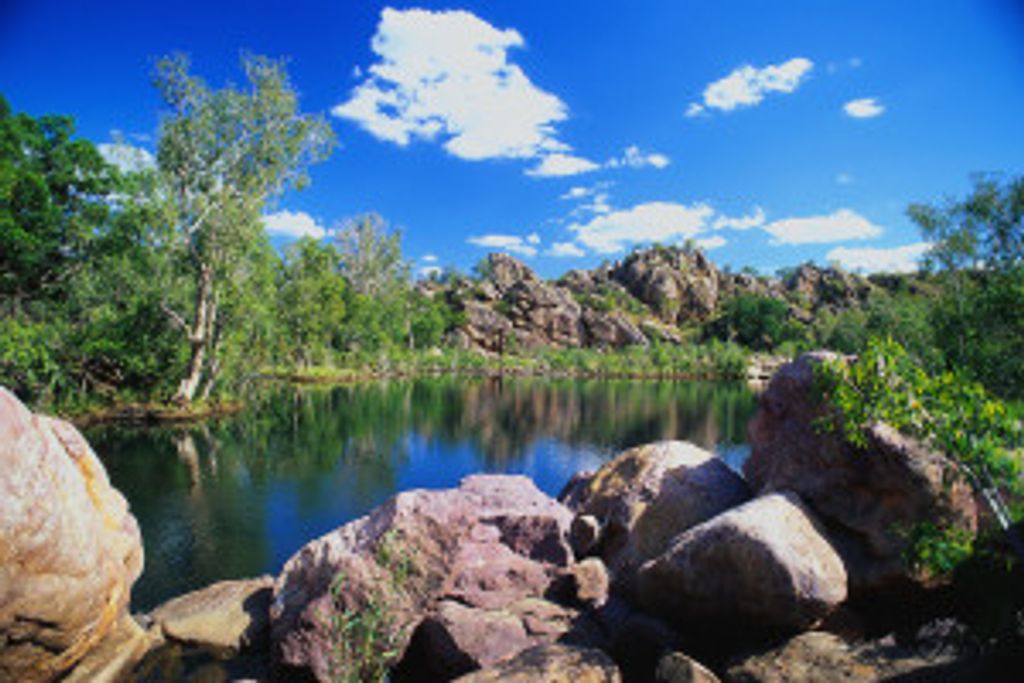 Ronald Lee Avery Profile Photo