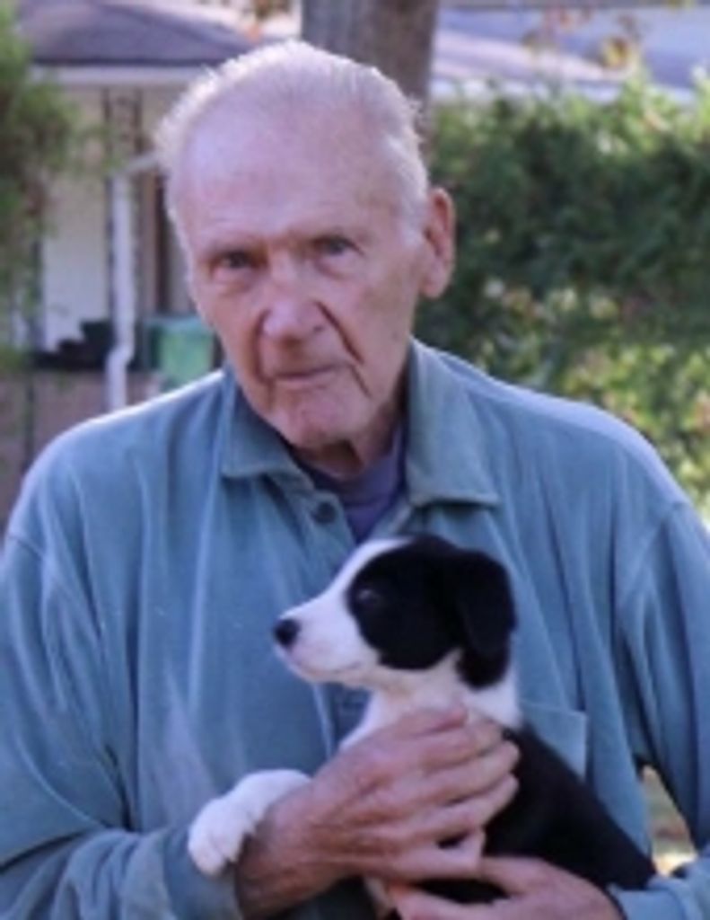 Robert  Charles Holan