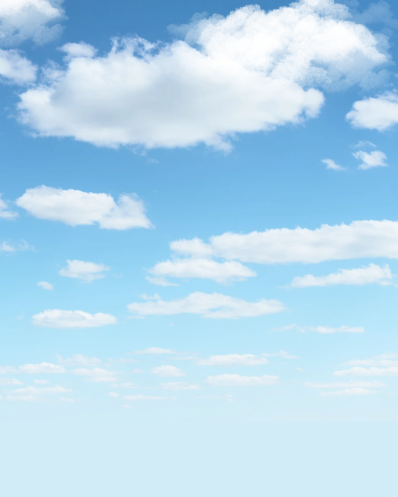 Leslie Rene Brown Jr.