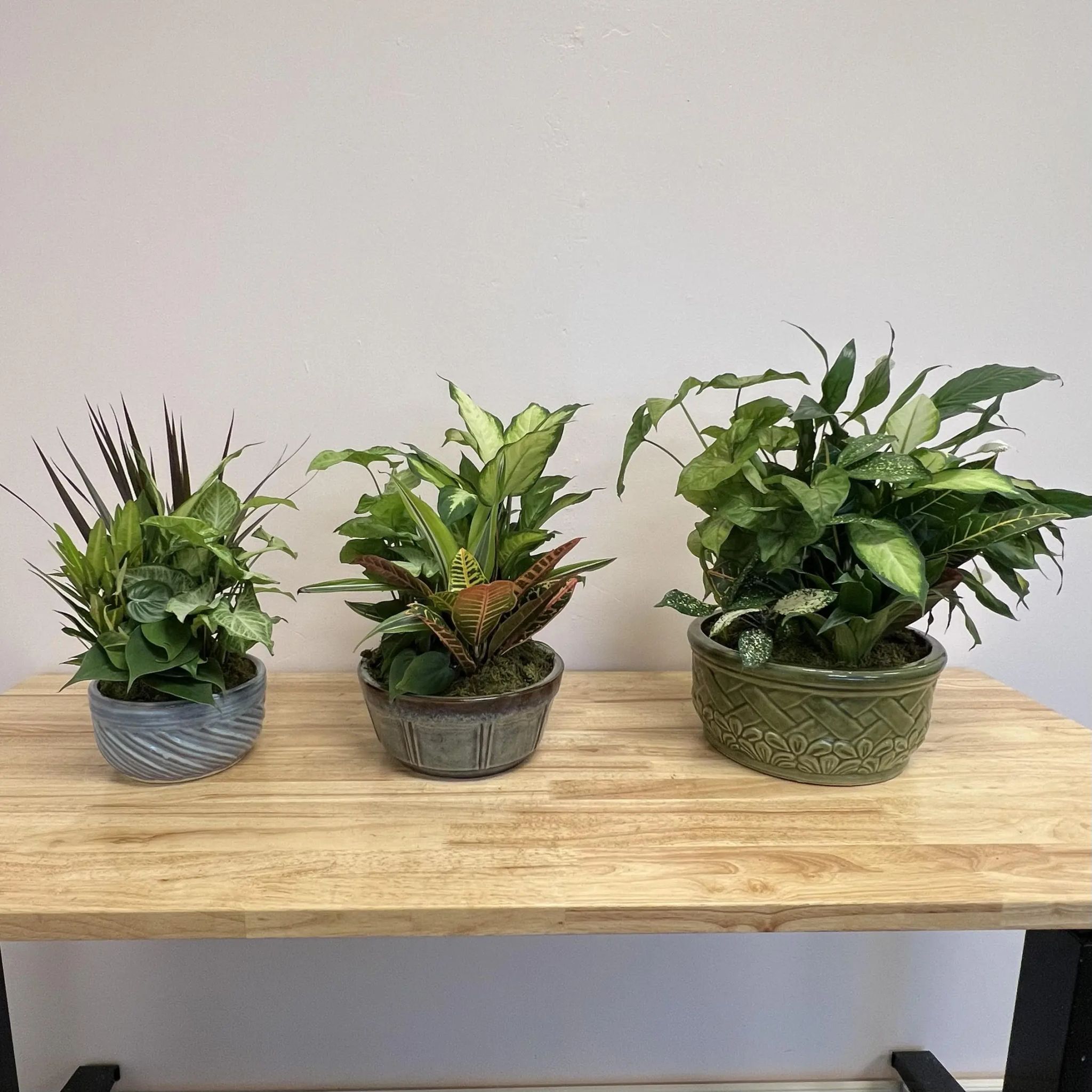 Judith Gail Hill Obituary September 20, 2025 - Legacy Chapel Funeral Home  and Crematory, image size:2048x2048