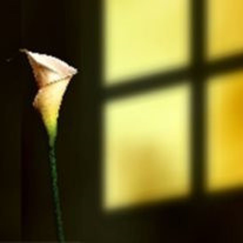 Jacqueline Lucille Craft