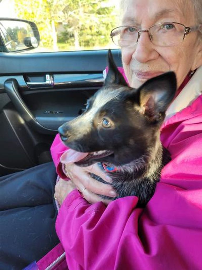 Norma Irene Stoddart Profile Photo