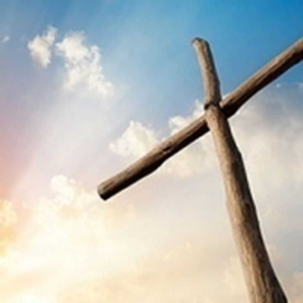 John Barry Stein Profile Photo