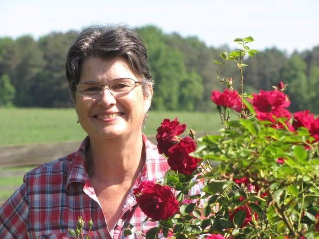 Patty Frances (Weathersbee)  Walsh