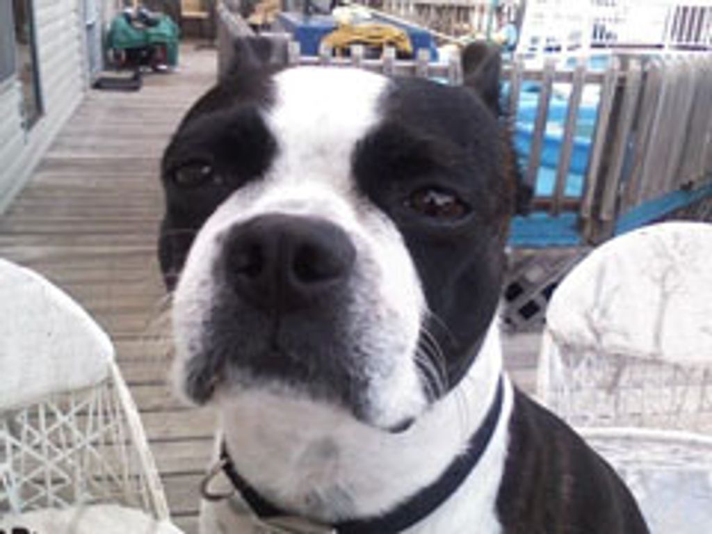 Precious Tate Profile Photo