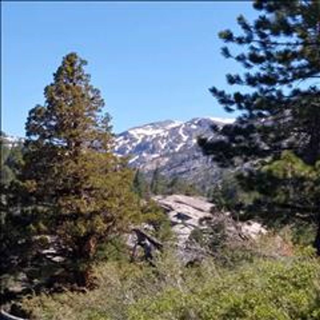 Freddie Jay Dentis Profile Photo